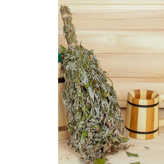 Веник для бани травяной из мяты в индивидуальной упаковке 45см