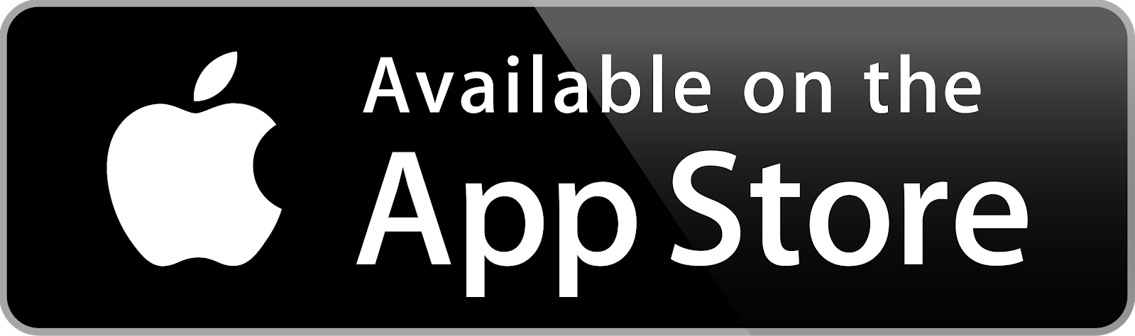 Icon App Store
